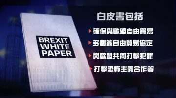 英国脱欧麻烦不断 民众多支持二次公投