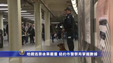 地铁逃票后果严重 纽约市警察局掌握数据