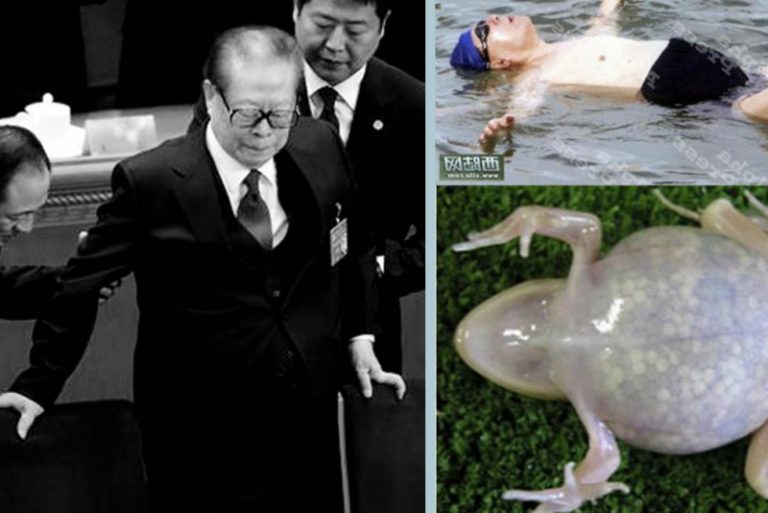 揭江澤民孫子操控千億資產內幕