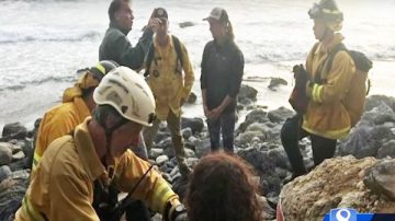 美奧勒岡州女子墜懸崖困8天 靠水箱水維持生命獲救