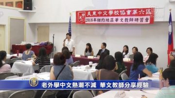 老外学中文热潮不减  华文教师分享经验