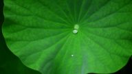【医话】柔肠若寸断 自己要负责
