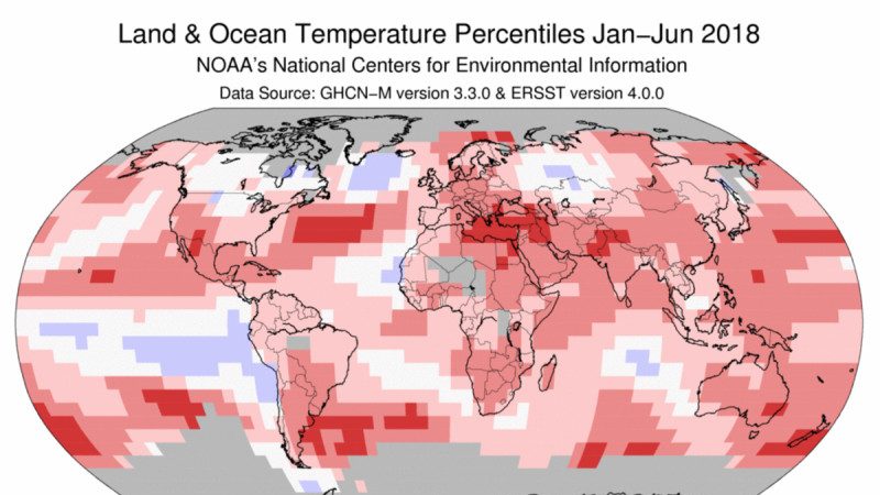 高温频破纪录 NOAA一张图看今年有多热
