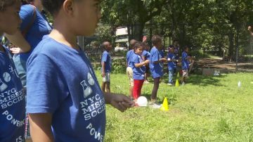 夏季“奥林匹克日” 纽约600多孩童参与