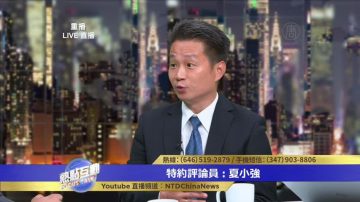 夏小強：任何互聯網公司進入大陸 都不可能有自由