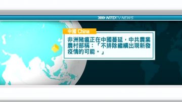 8月29日国际新闻简讯