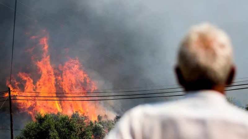 安省森林火灾将对环境产生长期影响