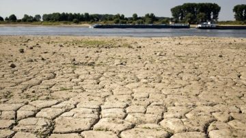 歐洲熱浪 萊茵河下游見底 船運運費暴漲