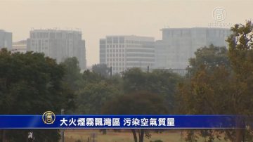 大火烟雾飘湾区 污染空气质量