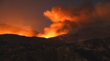 南加州野火失控 橙縣進入緊急狀態