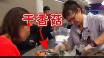 中國大媽去澳洲探望兒子 因攜帶食品遭海關罰款(視頻)