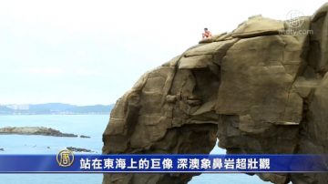 站在東海上的巨象 深澳象鼻岩超壯觀