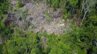 空拍亞馬遜雨林 直擊與世隔絕神秘部落