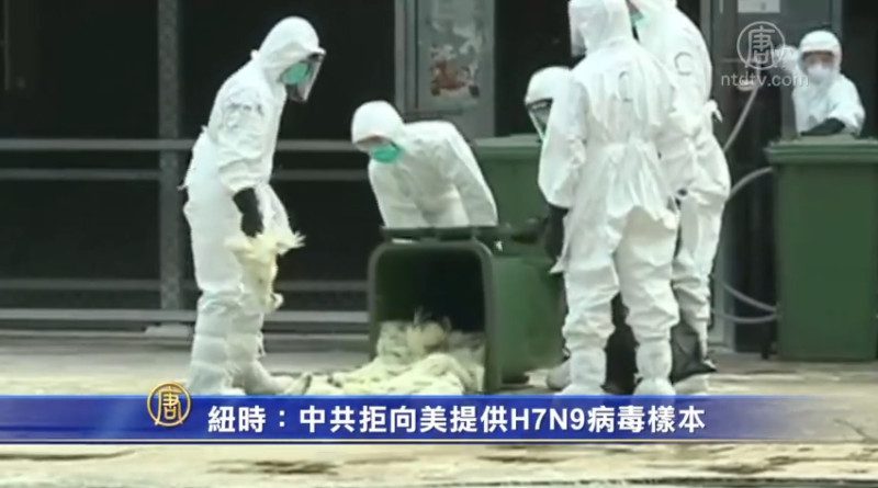 【禁闻】纽时：中共拒向美提供H7N9病毒样本