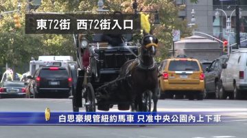 白思豪拟规管纽约马车 只准中央公园内上下车