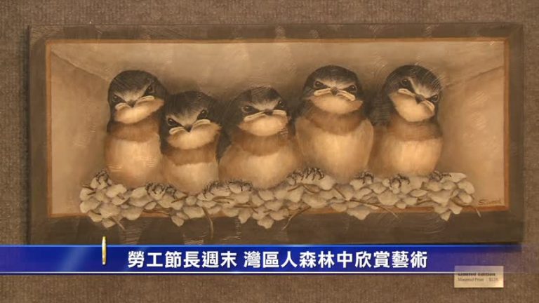 勞工節長週末 灣區人森林中欣賞藝術