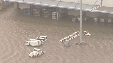 颱風燕子襲日本 10人死 關西機場淹水