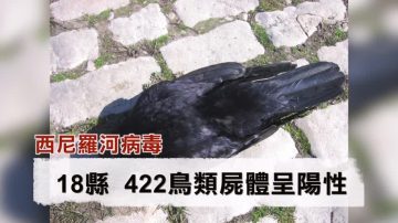 加州今年首現西尼羅河病毒死亡病例