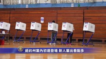 纽约州党内初选登场 新人辈出看点多