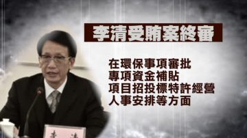 廣東前環保廳長李清被判15年