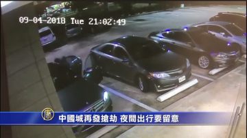 中国城再发抢劫 夜间出行要留意