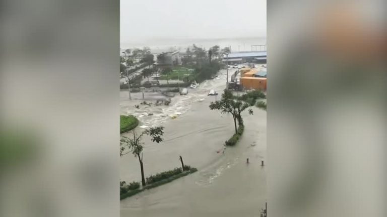 「山竹」創紀錄破壞 港現災難片般慘狀