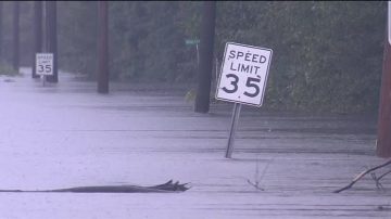 飓风“佛罗伦斯”残馀至 大纽约地区迎降雨