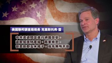 【禁闻】中共狂炒台谍 意在转移国内矛盾？