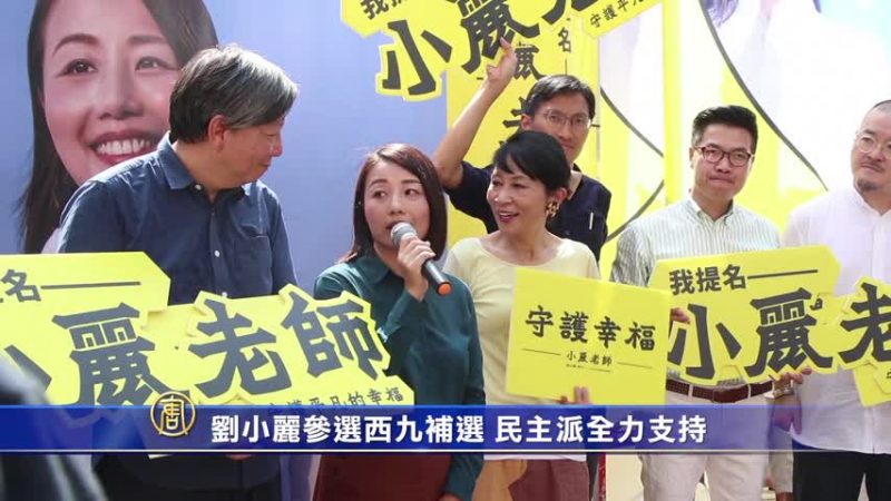 劉小麗參選西九補選 港民主派全力支持