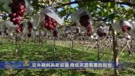 9月24日环球财经简讯
