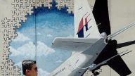 MH370又有新發現？ 英專家：在柬埔寨密林