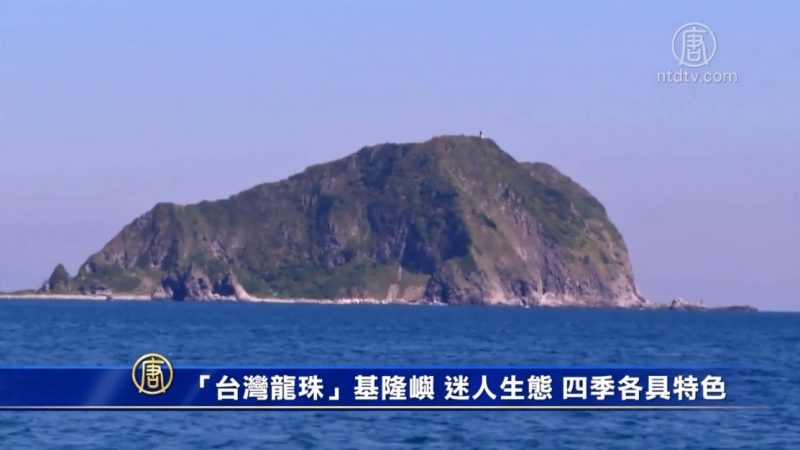 「台灣龍珠」基隆嶼 迷人生態 四季各具特色