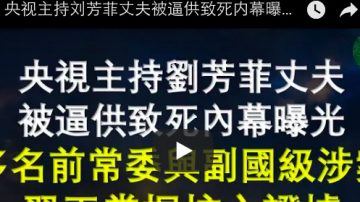 刘芳菲丈夫致死内幕曝光 多名前常委与副国级高官涉案 习王掌握核心证据