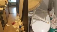 中国女游客垃圾扔满日民宿：“不是我家，不需要收”