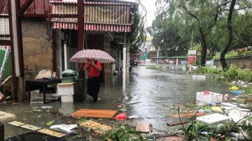 「山竹」肆虐香港災情慘重 逾300人受傷