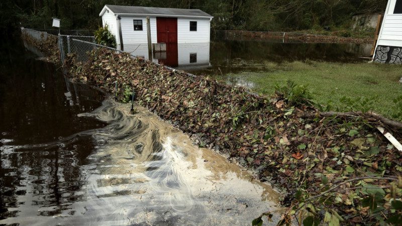 颶風佛羅倫斯引發洪災 美東逾200萬隻雞被淹死