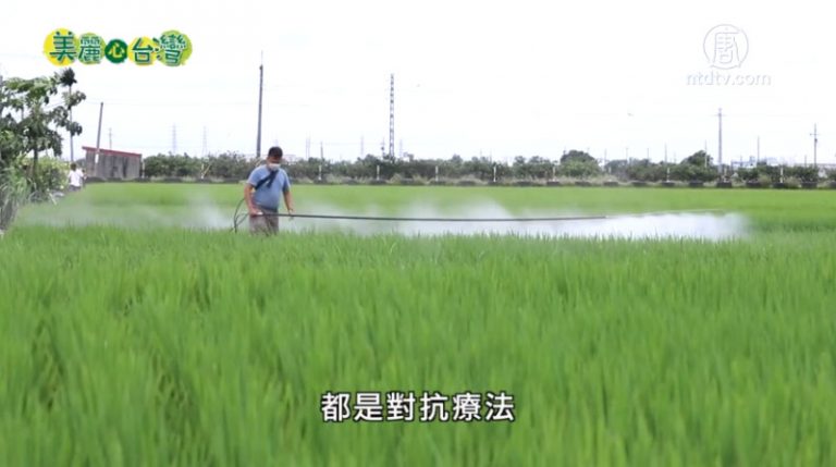 美麗心台灣：有機農業的推手 陳世雄的零污染有機農場