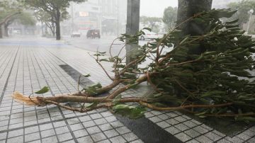 潭美台风狂扫冲绳 将加速贯穿日本