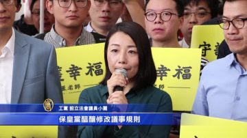 劉小麗代表民主派報名參選九龍西補選