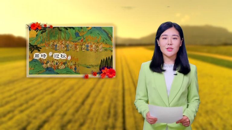 曬秋啃秋貼秋膘 立秋時節的傳統習俗