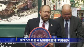 NYPD公布部分地铁逃票数据 非裔最多