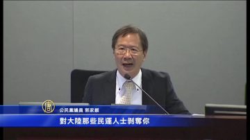 港府政治封殺劉小麗參選引發議員抨擊