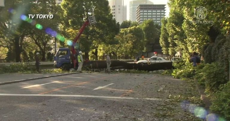 潭美減為熱帶氣旋 東京部分列車恢復
