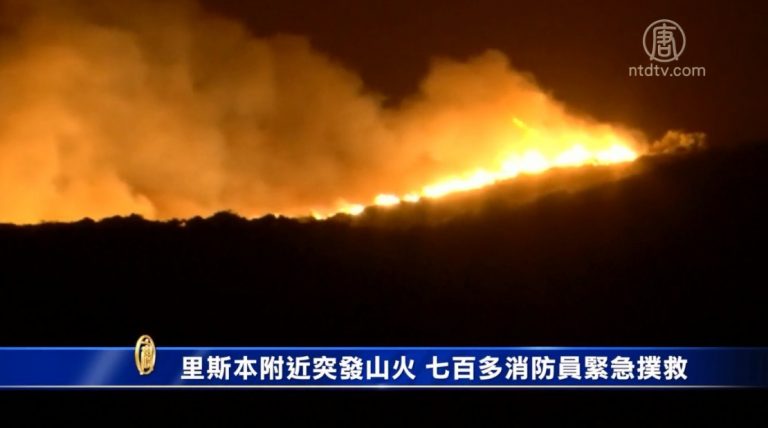 里斯本附近突發山火 七百多消防員緊急撲救