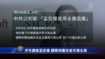 中共调查孟宏伟 国际刑警任命代理主席