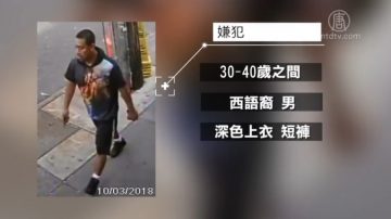 2名西裔男子街邊故意觸碰女童 紐約警方通緝