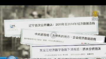 习近平:你们经济数据有多少水分？辽宁:最少1千亿