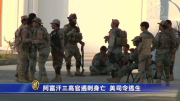 阿富汗三高官遇刺身亡 美司令逃生