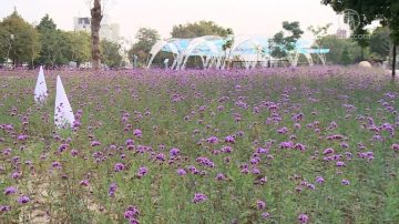 花博葫蘆墩公園 四大地景新亮點