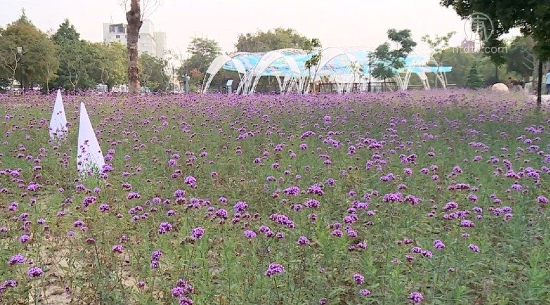 花博葫蘆墩公園 四大地景新亮點